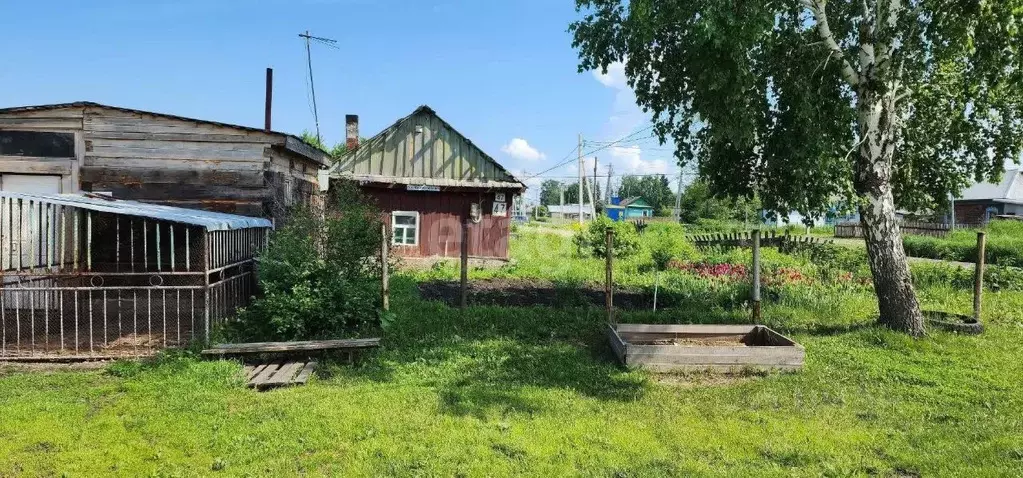 Дом в Кемеровская область, Топки Сибирская ул. (33 м) - Фото 1