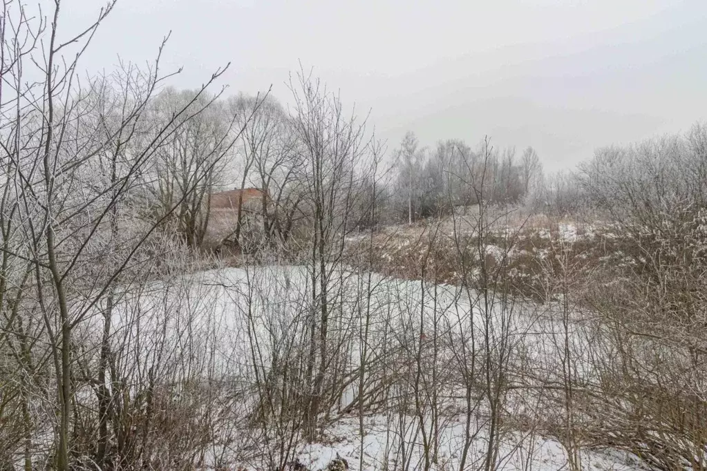 Участок в Владимирская область, Суздальский район, с. Новоалександрово ... - Фото 0