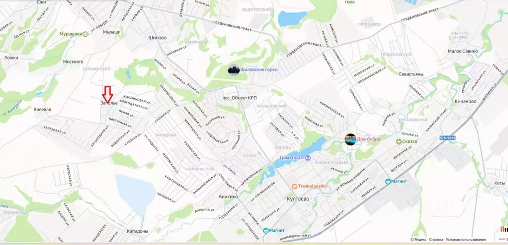 Участок в Пермский край, Пермский муниципальный округ, д. Заполье ул. ... - Фото 2