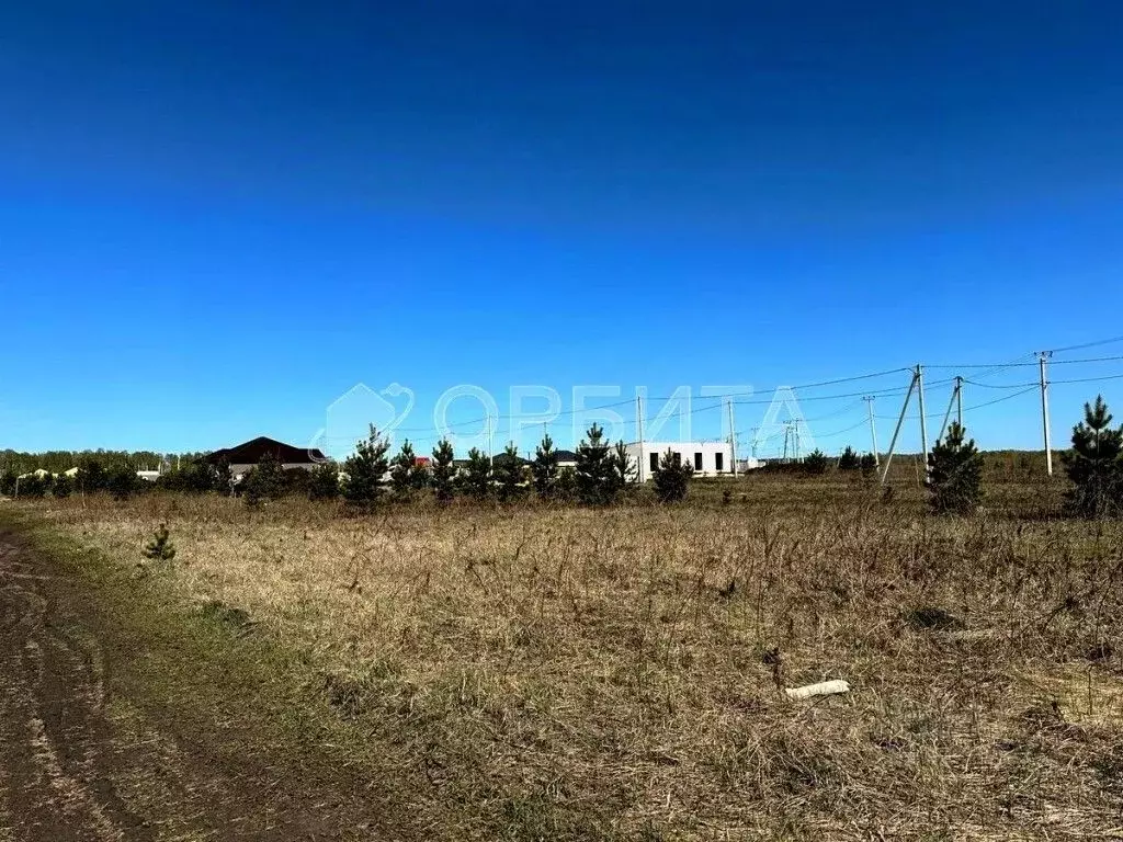 Участок в Тюменская область, Тюменский район, д. Елань, Хвойный кп  ... - Фото 1