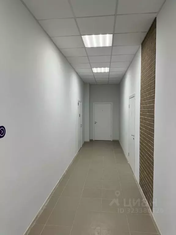 Помещение свободного назначения в Ленинградская область, Всеволожский ... - Фото 2