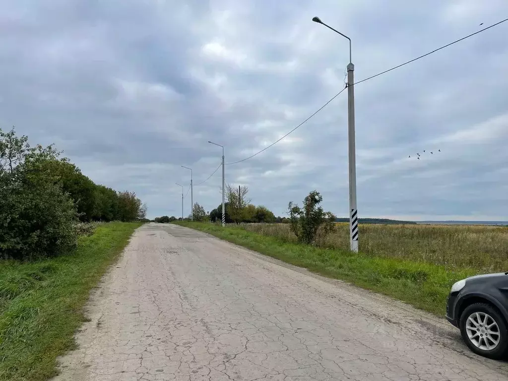 Участок в Тульская область, Щекинский район, Лазаревское с/пос, д. ... - Фото 2
