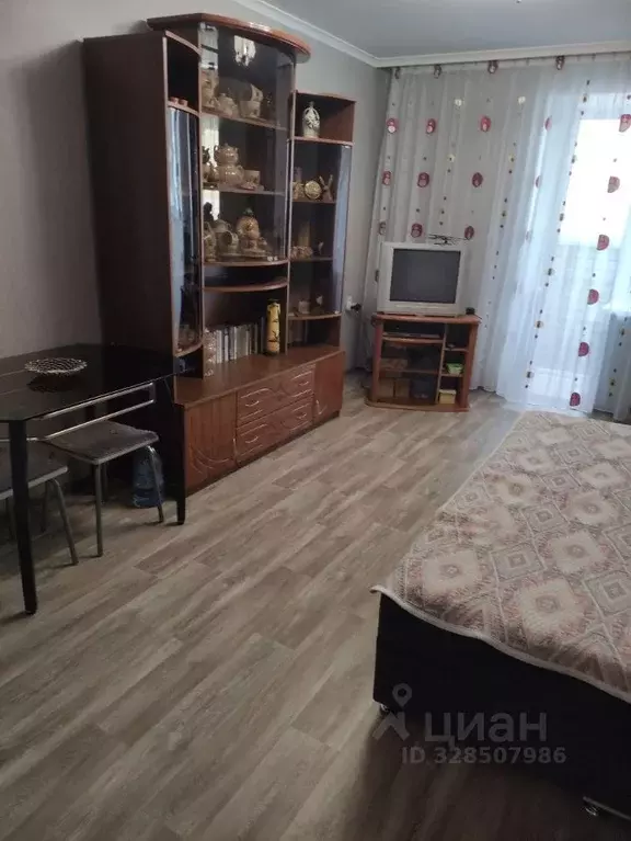 Студия Пензенская область, Пенза ул. 65-летия Победы, 19 (23.0 м) - Фото 2