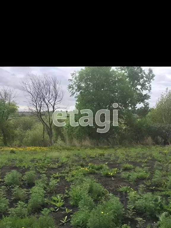 Участок в Курганская область, Шадринск ул. Важенина (15.55 сот.) - Фото 1