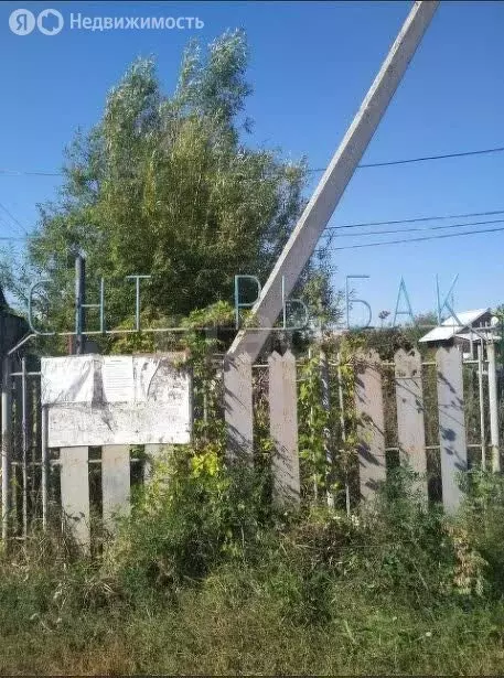 Участок в муниципальное образование Саратов, село Расловка 1-я (4 м) - Фото 0