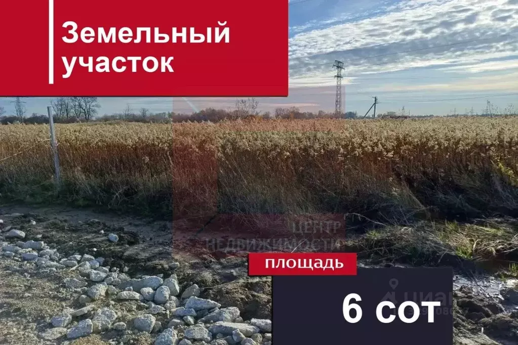 Участок в Калининградская область, Гурьевский муниципальный округ, ... - Фото 1
