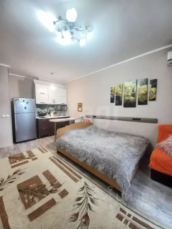 Студия Амурская область, Благовещенск Новая ул., 11 (27.0 м) - Фото 2