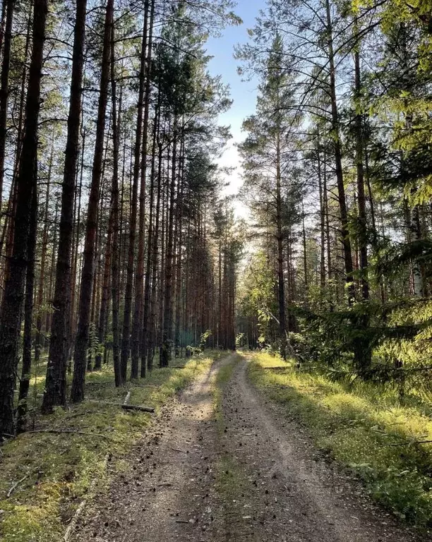 Участок в Московская область, Клин городской округ, Солнечный Берег дп ... - Фото 1