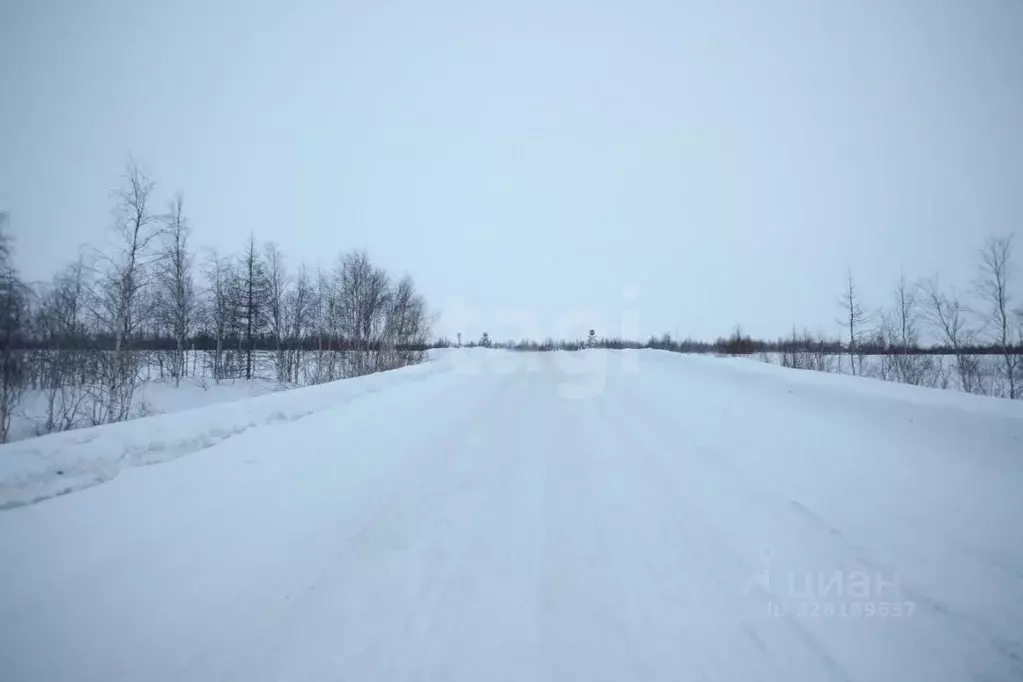 Участок в Ямало-Ненецкий АО, Новый Уренгой ул. Рахманинова, 18 (12.0 ... - Фото 1