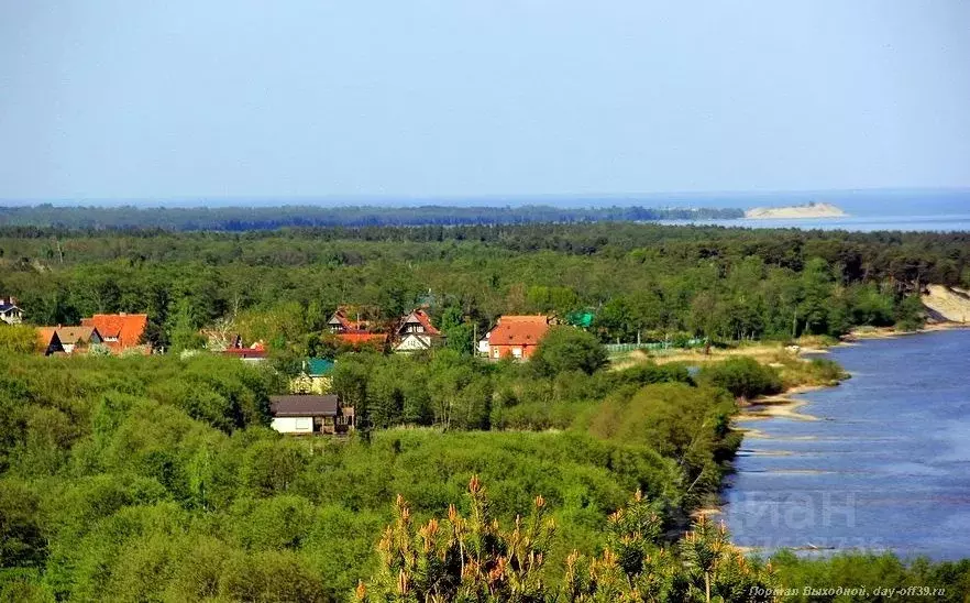 Участок в Калининградская область, Светлогорский городской округ, пос. ... - Фото 1