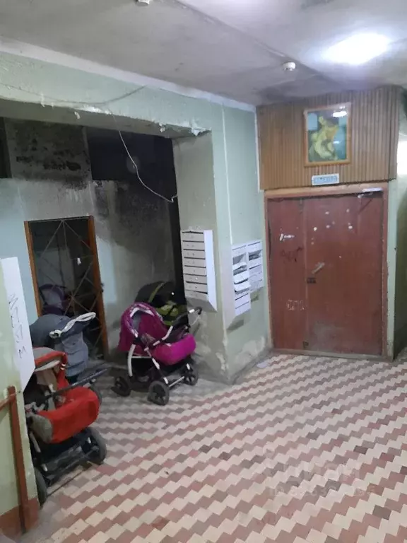 1-к кв. Пермский край, Пермь Торговая ул., 8 (19.0 м) - Фото 2