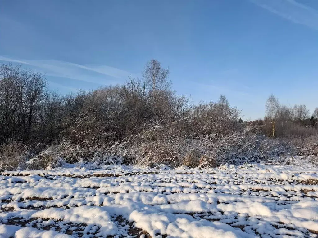 Участок в Московская область, Пушкинский городской округ, д. ... - Фото 1