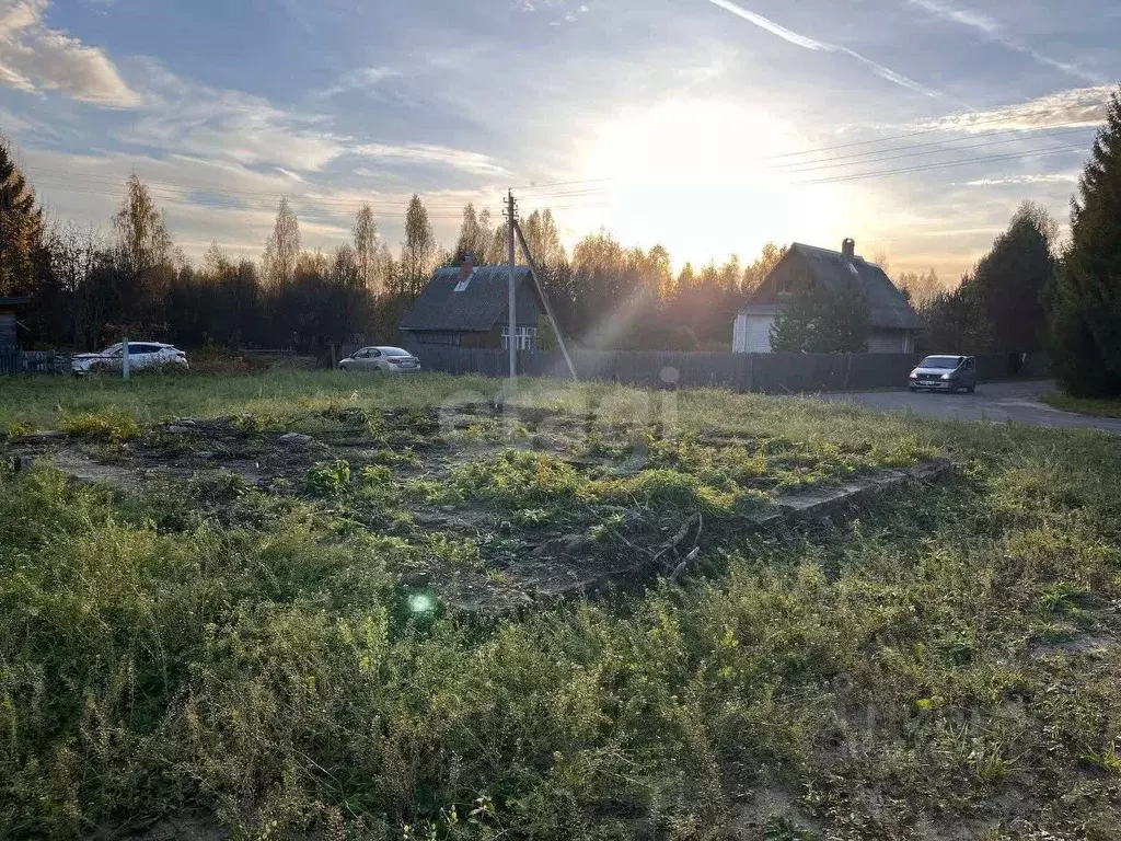 Участок в Вологодская область, Усть-Кубинский муниципальный округ, д. ... - Фото 2