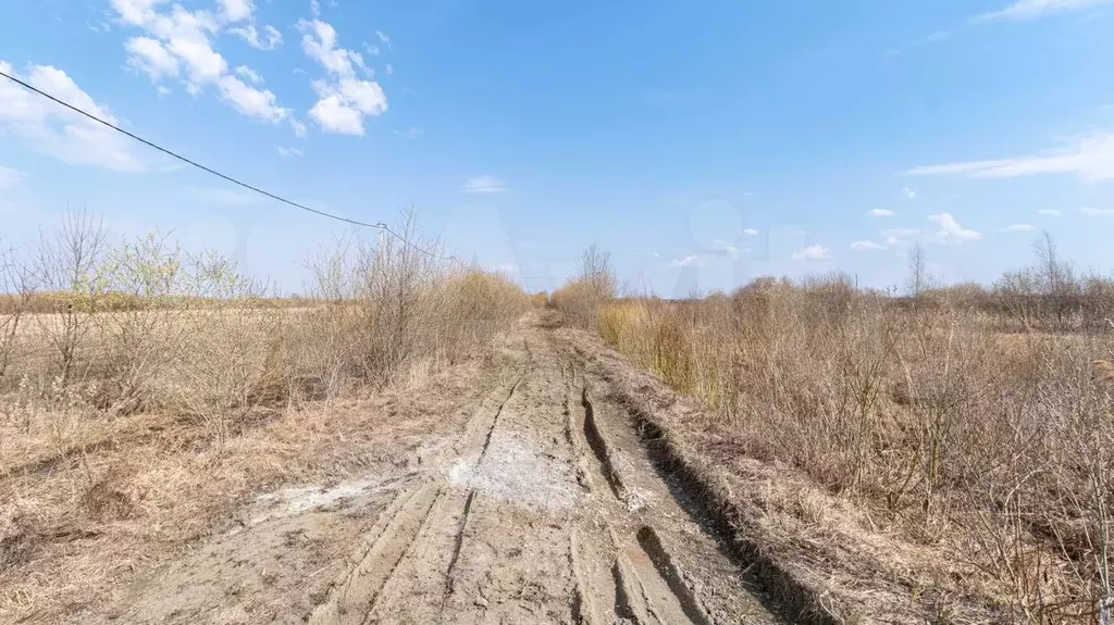 Участок 13 сот. (ИЖС) - Фото 1