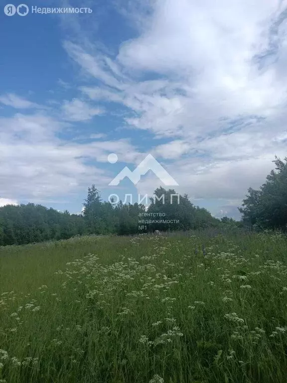 Участок в Вологодская область, Кирилловский муниципальный округ, ... - Фото 0
