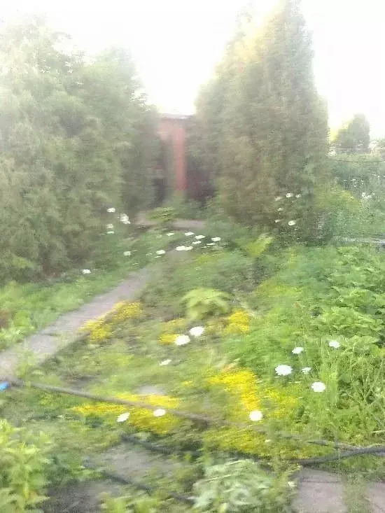 Дом в Самарская область, Ставропольский район, Подстепки с/пос, ... - Фото 1