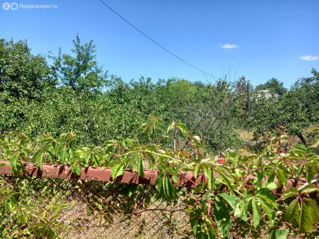 Участок в Неклиновский район, село Николаевка (10 м) - Фото 0