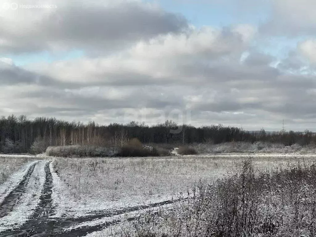 Участок в деревня Старая Чекаевка, Нагорная улица (9 м) - Фото 1