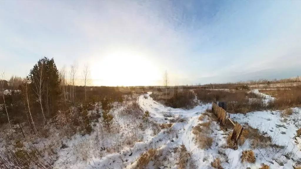 Участок в Тюменская область, Тюменский муниципальный округ, Винзили ... - Фото 1