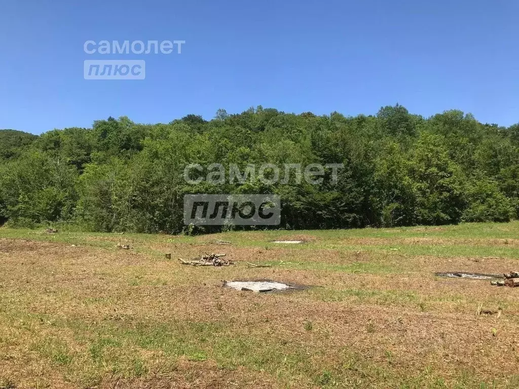 Участок в Краснодарский край, Туапсинский муниципальный округ, ... - Фото 1