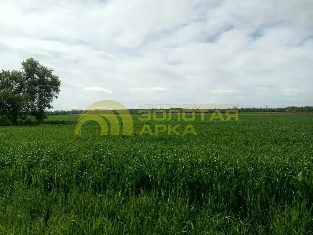 Участок в Темрюк, садово огородное товарищество Автомобилист, Ореховая ... - Фото 0