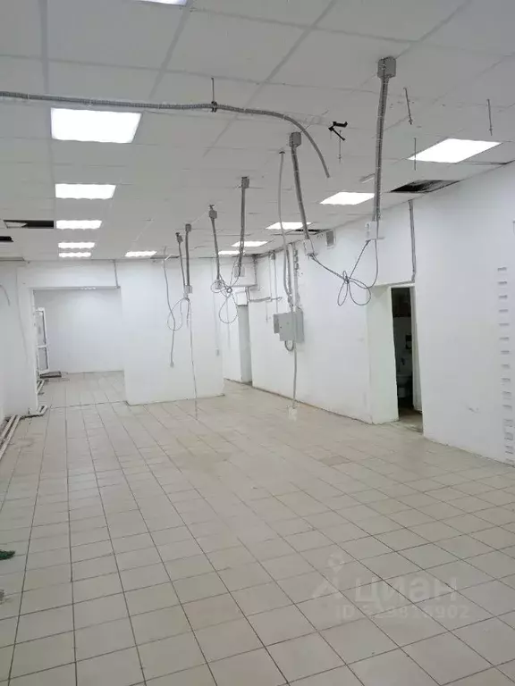 Помещение свободного назначения в Смоленская область, Смоленск ул. ... - Фото 1
