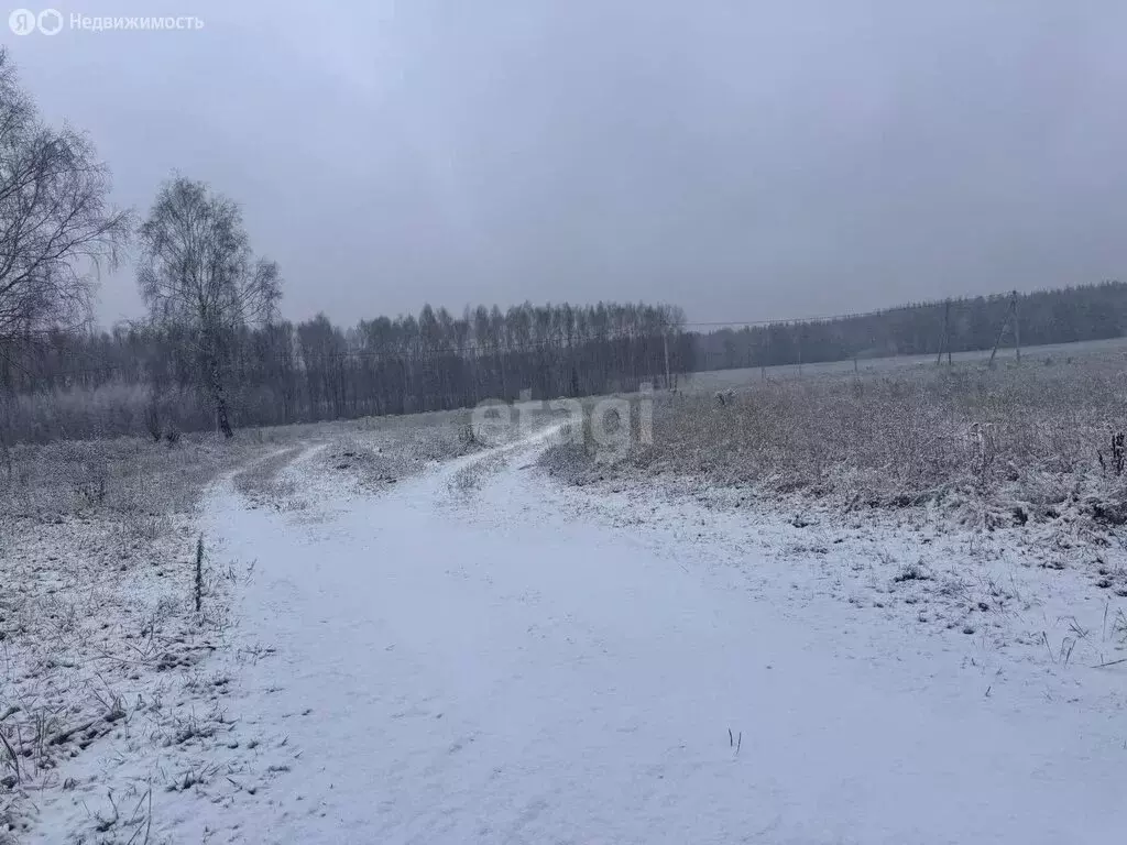 Участок в Нижегородская область, Балахнинский муниципальный округ, ... - Фото 1