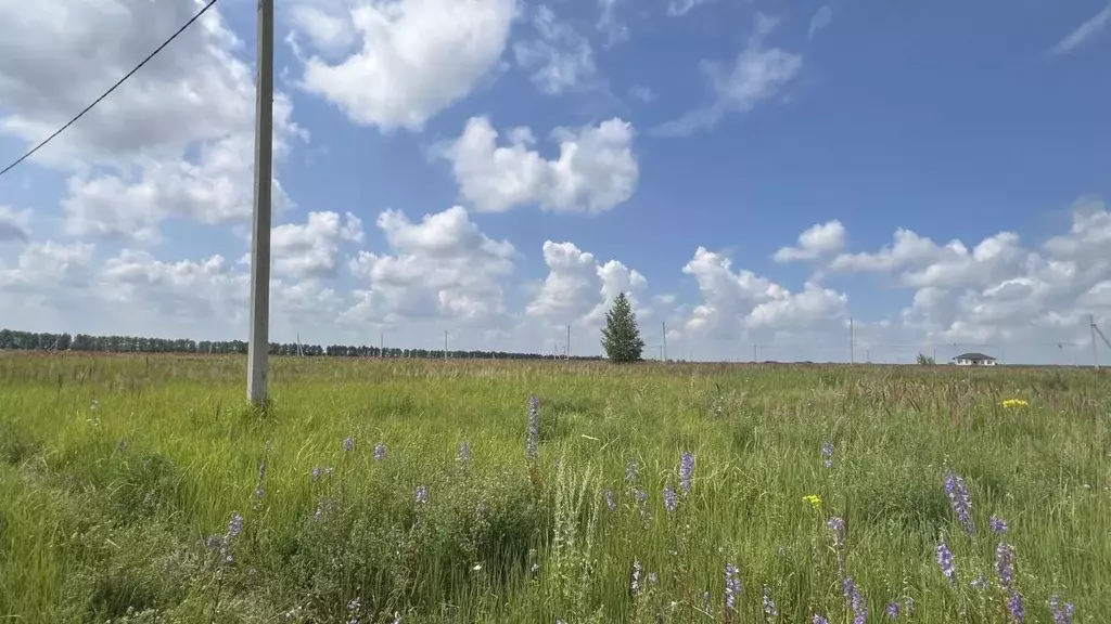 Участок в Пензенская область, с. Бессоновка ул. Родниковая (10.0 сот.) - Фото 1
