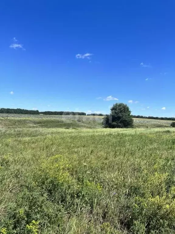 Участок в Белгородская область, Белгородский район, Беломестненское ... - Фото 1