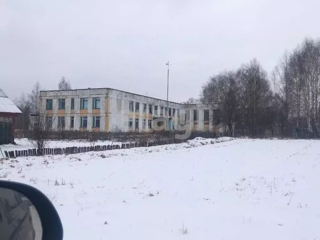 Помещение свободного назначения в Брянская область, Стародубский ... - Фото 1