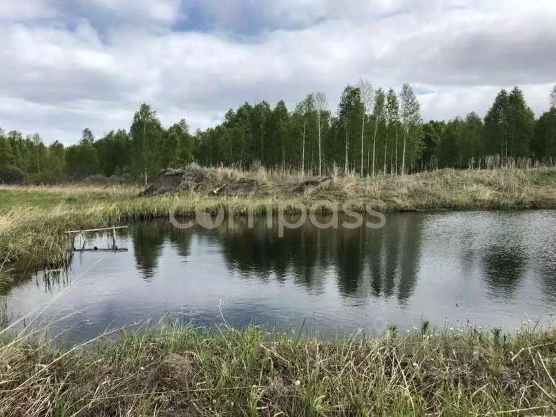 Участок в Тюменская область, Нижнетавдинский район, Сундукуль СНТ  ... - Фото 1