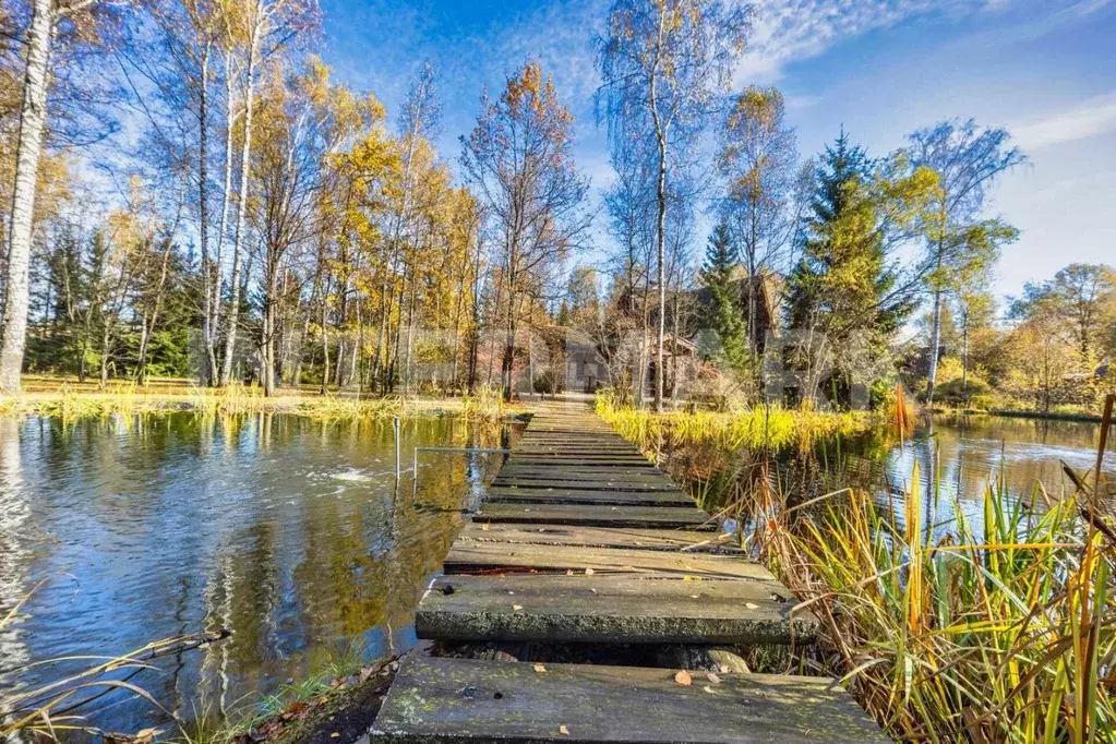 Участок в Московская область, Мытищи городской округ, пос. Вешки, ... - Фото 1