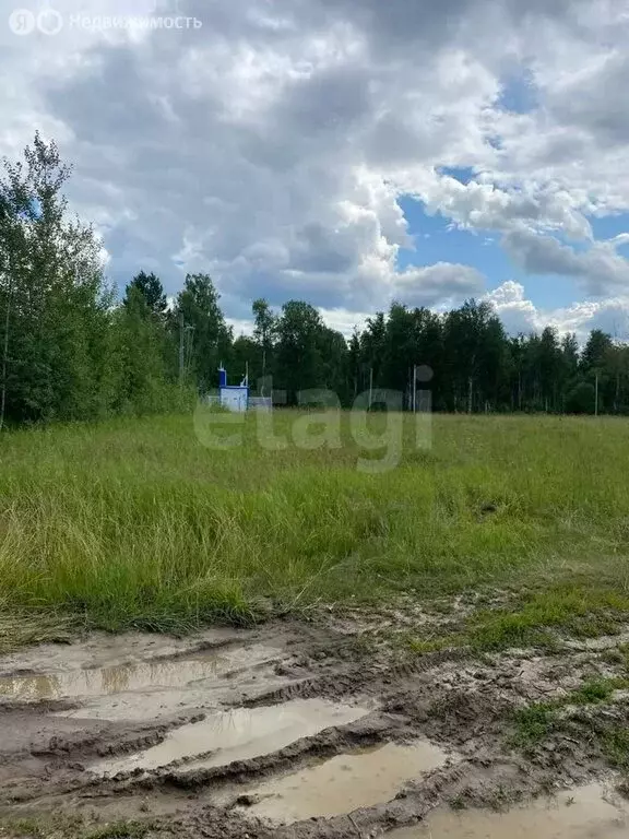 Участок в Тюмень, СНТ Лесник (9.5 м) - Фото 1