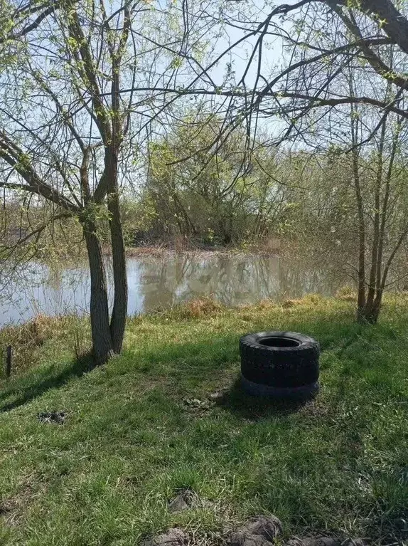 Участок в Белгородская область, Шебекино ул. Вити Захарченко (8.7 ... - Фото 0
