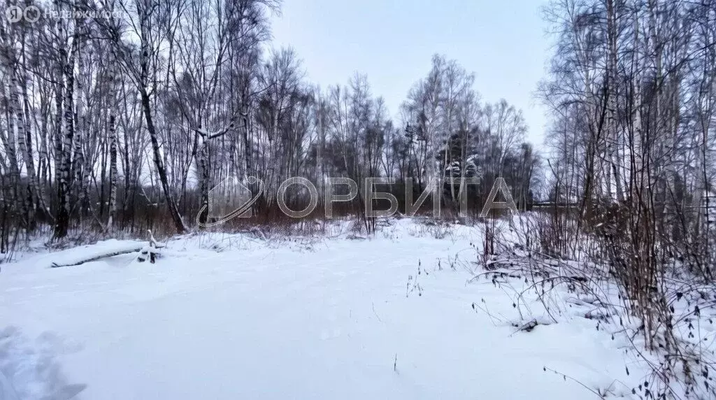 Участок в Тюмень, садовое товарищество Липовый Остров, 19-я Западная ... - Фото 1