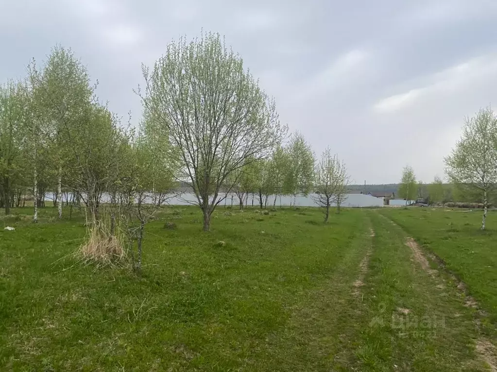 участок в тульская область, алексинский район, с. казначеево (520.0 . - Фото 0