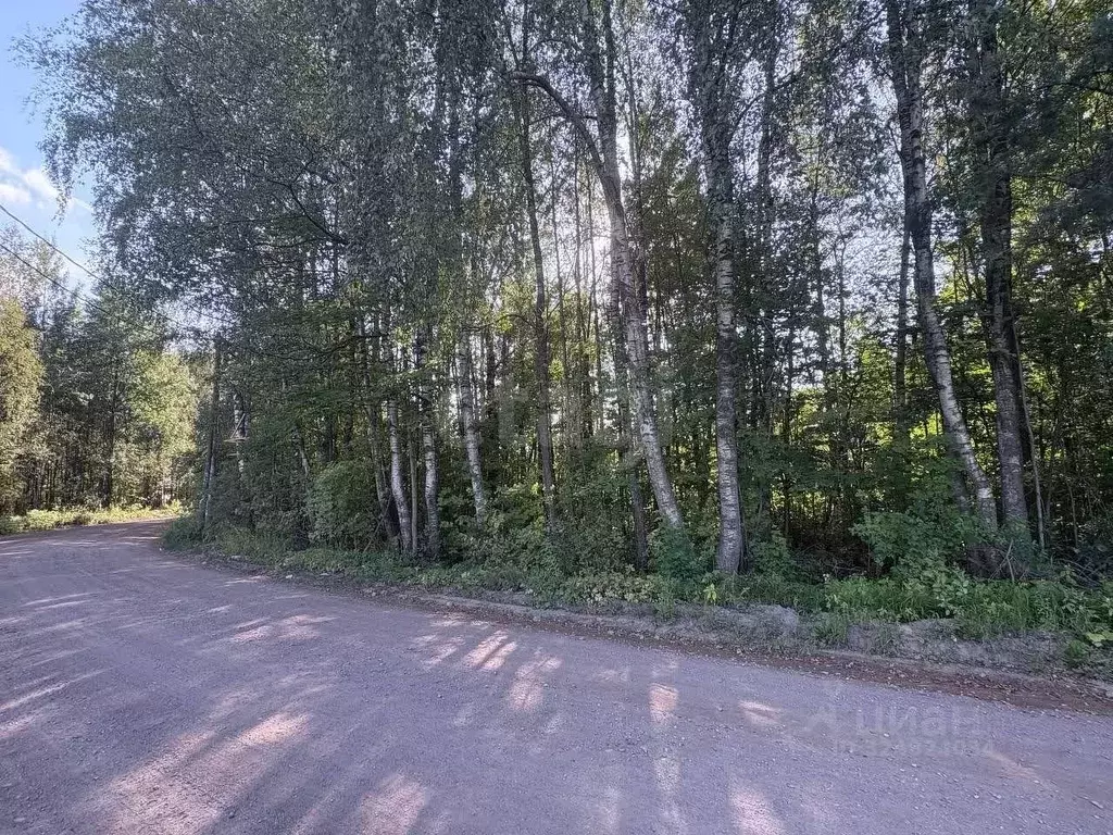 Участок в Ленинградская область, Всеволожский район, Рахьинское ... - Фото 1