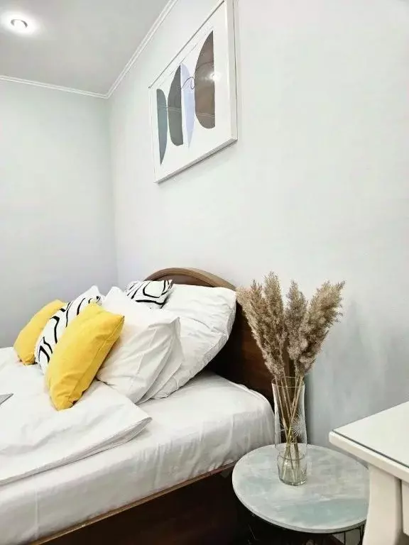 1-к кв. Краснодарский край, Краснодар Центральный мкр, ул. Имени ... - Фото 2