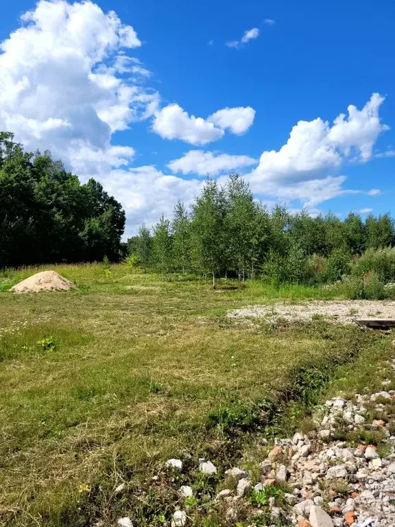 Участок в Московская область, Пушкинский городской округ, д. Бортнево  ... - Фото 2