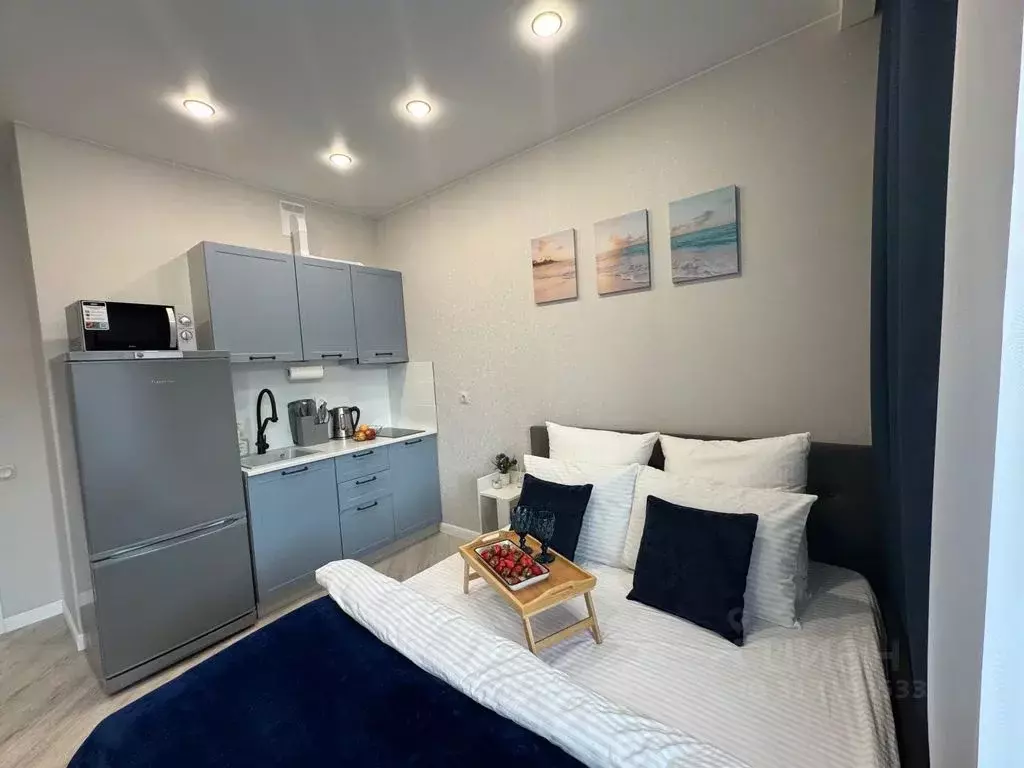 Студия Санкт-Петербург бул. Головнина, 4 (30.0 м) - Фото 1