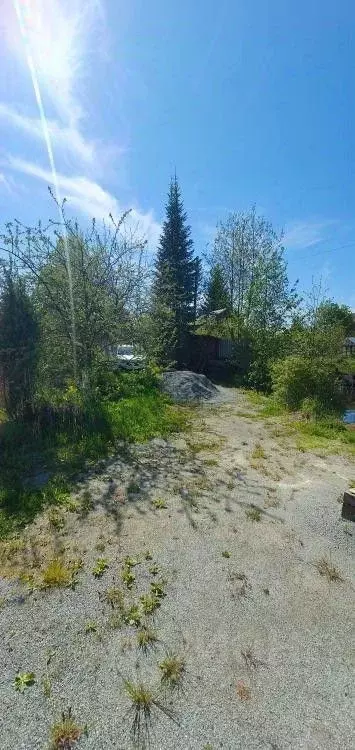 Дом в Свердловская область, Березовский № 38 КС,  (52 м) - Фото 1
