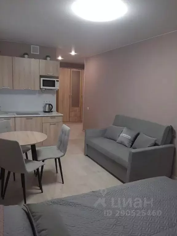 Студия Тюменская область, Тобольск 15-й мкр, 42 (30.0 м) - Фото 1