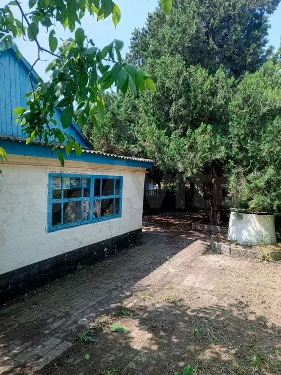 Дом 38 м на участке 12 сот. - Фото 0