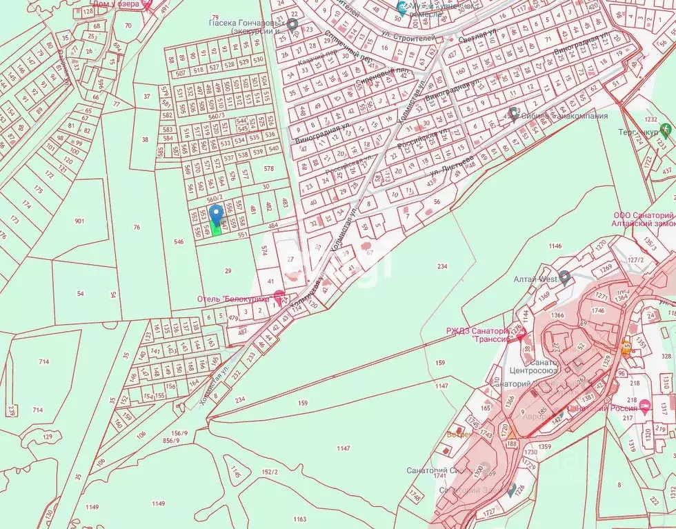 Участок в Алтайский край, Белокуриха ул. Листьева (9.0 сот.) - Фото 2