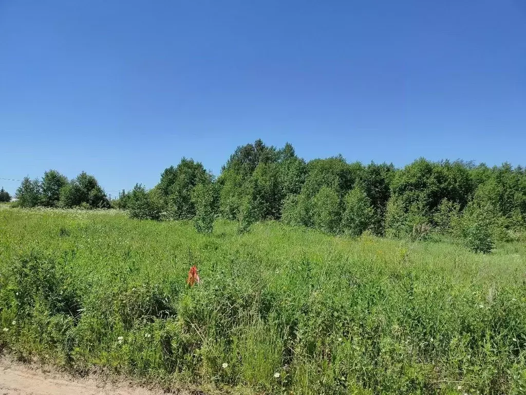 Участок в Московская область, Клин городской округ, Степаньковские ... - Фото 0