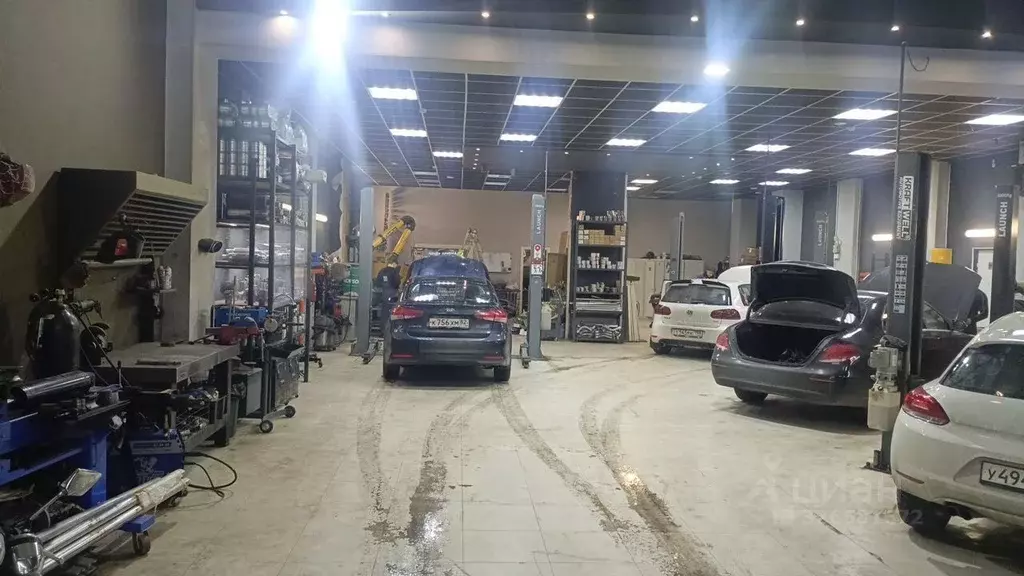 Помещение свободного назначения в Санкт-Петербург Кубинская ул., 48 ... - Фото 2