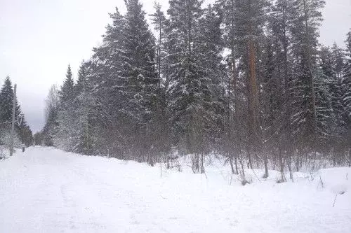 Участок в Новгородская область, Новгородский район, Савинское с/пос, ... - Фото 0