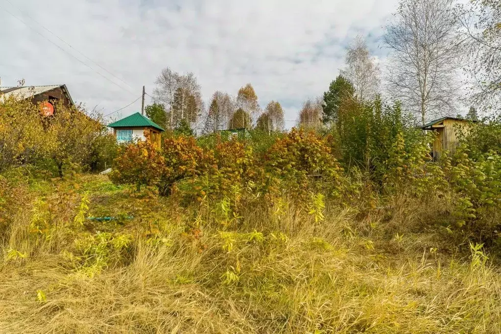 Участок в Иркутская область, Иркутский муниципальный округ, Маркова ... - Фото 1
