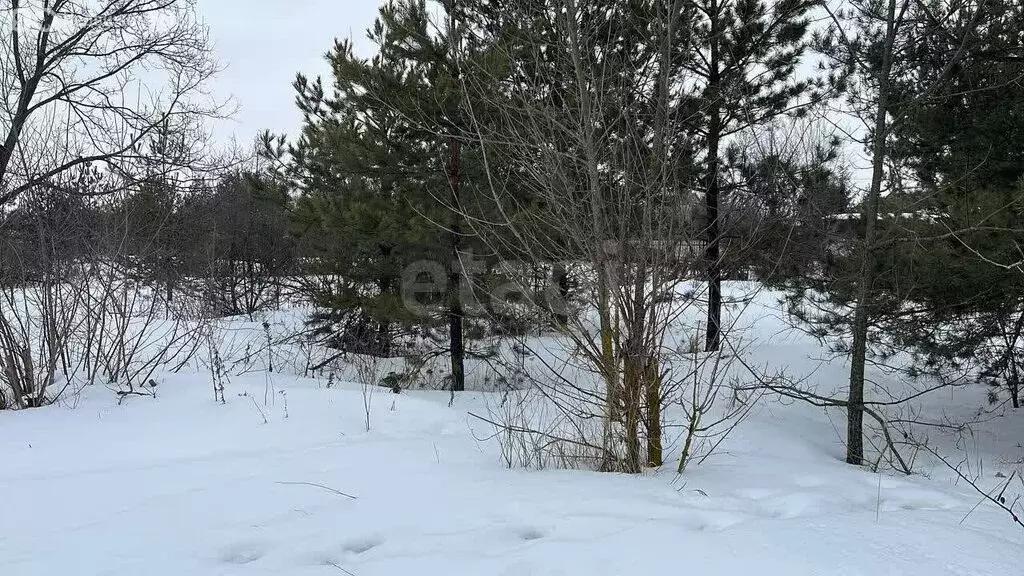 Участок в Рамонский район, Новоживотинновское сельское поселение, СНТ ... - Фото 2