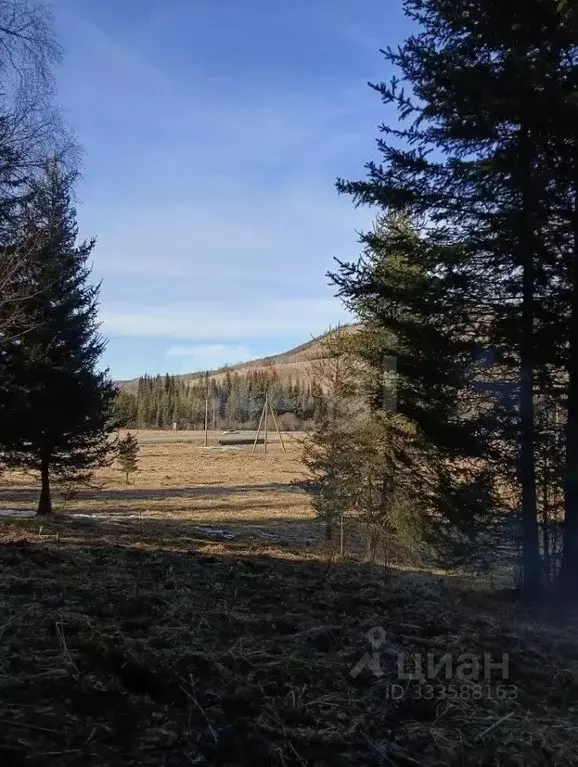 Участок в Алтай, Шебалинский район, с. Шебалино Советская ул. (203.33 ... - Фото 2